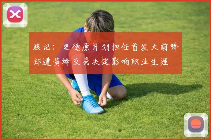 狼记：里德原计划担任首发大前锋却遭黄蜂交易决定影响职业生涯