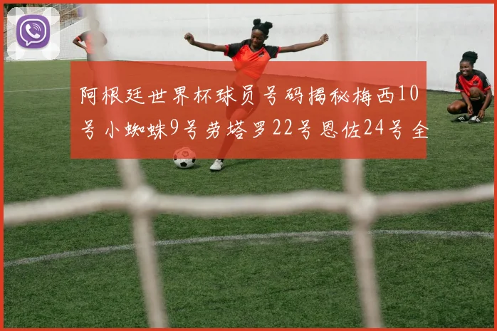 阿根廷世界杯球员号码揭秘梅西10号小蜘蛛9号劳塔罗22号恩佐24号全解析